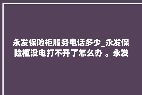 永发保险柜服务电话多少_永发保险柜没电打不开了怎么办 。永发