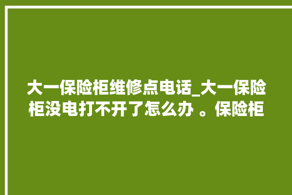 大一保险柜维修点电话_大一保险柜没电打不开了怎么办 。保险柜