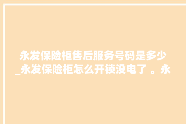 永发保险柜售后服务号码是多少_永发保险柜怎么开锁没电了 。永发