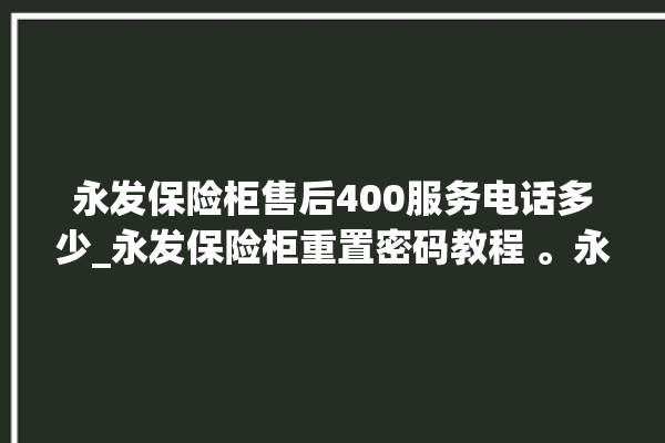 永发保险柜售后400服务电话多少_永发保险柜重置密码教程 。永发