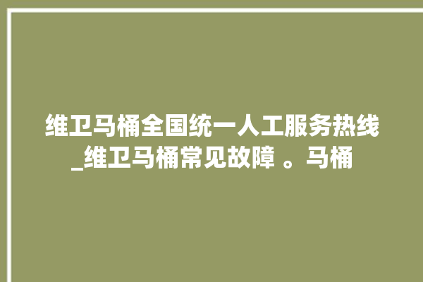 维卫马桶全国统一人工服务热线_维卫马桶常见故障 。马桶