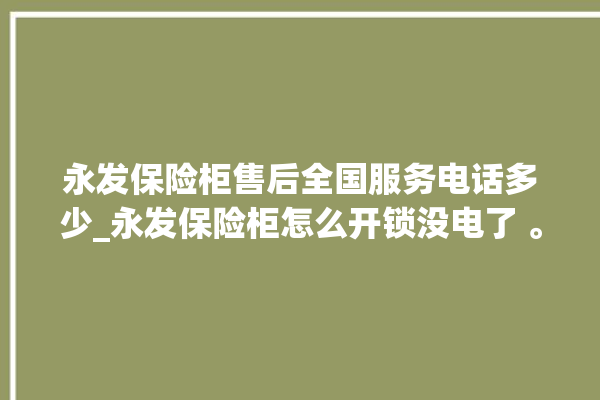 永发保险柜售后全国服务电话多少_永发保险柜怎么开锁没电了 。永发