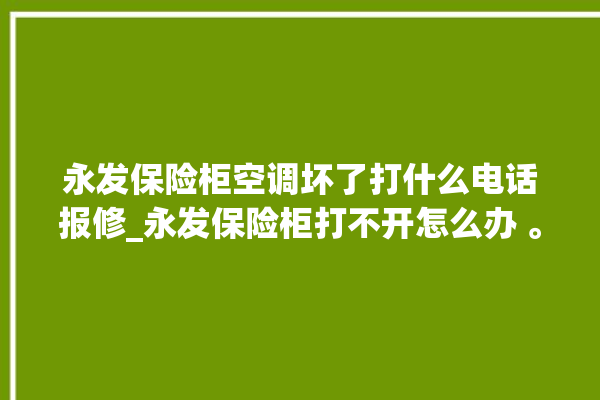 永发保险柜空调坏了打什么电话报修_永发保险柜打不开怎么办 。永发