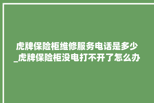 虎牌保险柜维修服务电话是多少_虎牌保险柜没电打不开了怎么办 。保险柜