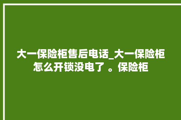 大一保险柜售后电话_大一保险柜怎么开锁没电了 。保险柜