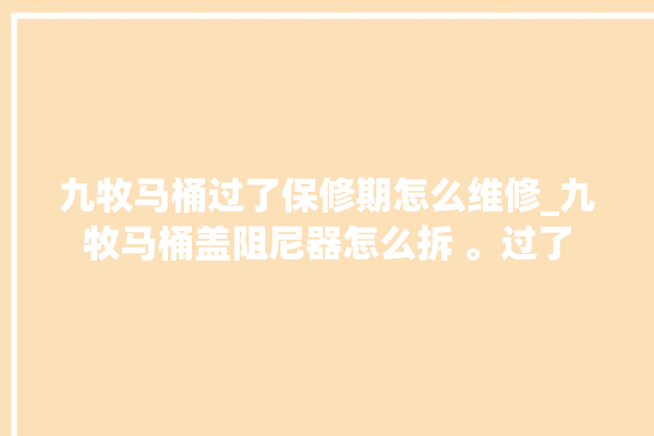 九牧马桶过了保修期怎么维修_九牧马桶盖阻尼器怎么拆 。过了