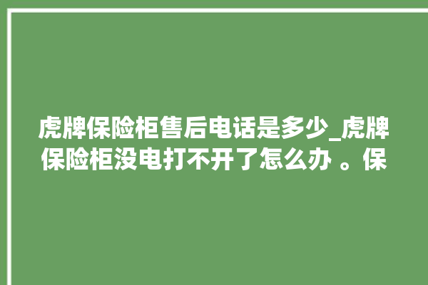 虎牌保险柜售后电话是多少_虎牌保险柜没电打不开了怎么办 。保险柜