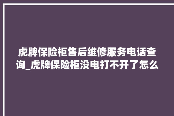 虎牌保险柜售后维修服务电话查询_虎牌保险柜没电打不开了怎么办 。保险柜