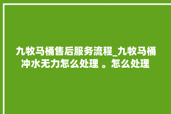 九牧马桶售后服务流程_九牧马桶冲水无力怎么处理 。怎么处理