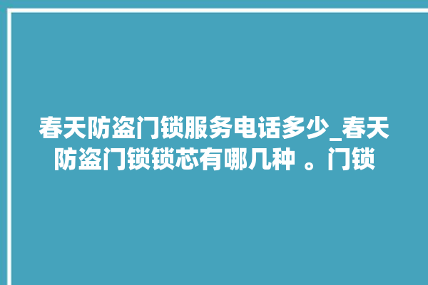 春天防盗门锁服务电话多少_春天防盗门锁锁芯有哪几种 。门锁