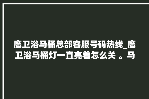 鹰卫浴马桶总部客服号码热线_鹰卫浴马桶灯一直亮着怎么关 。马桶