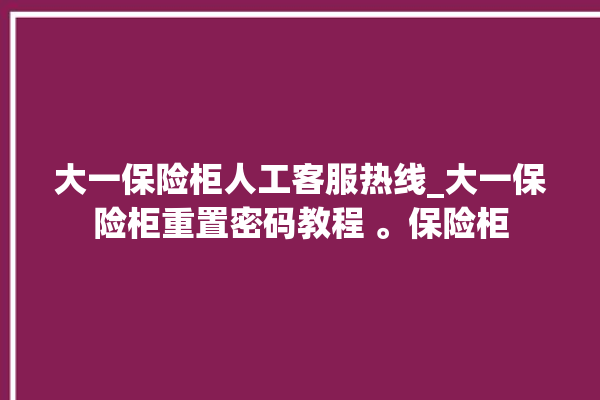 大一保险柜人工客服热线_大一保险柜重置密码教程 。保险柜