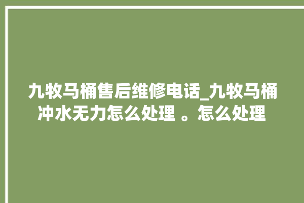 九牧马桶售后维修电话_九牧马桶冲水无力怎么处理 。怎么处理