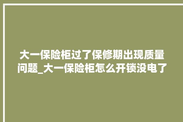 大一保险柜过了保修期出现质量问题_大一保险柜怎么开锁没电了 。保险柜