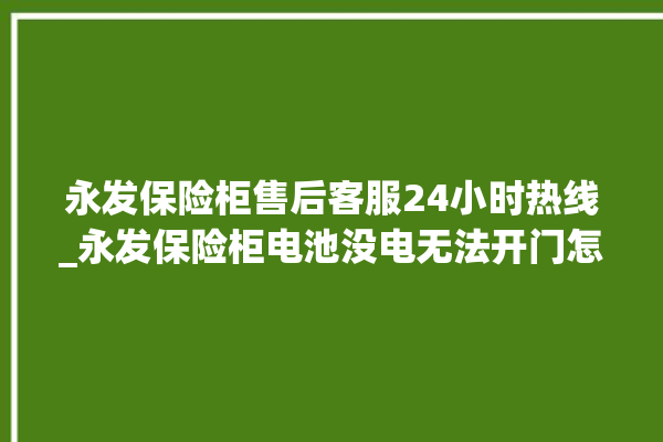 永发保险柜售后客服24小时热线_永发保险柜电池没电无法开门怎么办 。永发