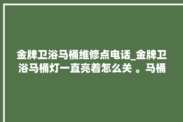 金牌卫浴马桶维修点电话_金牌卫浴马桶灯一直亮着怎么关 。马桶