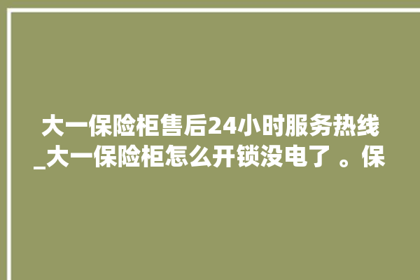 大一保险柜售后24小时服务热线_大一保险柜怎么开锁没电了 。保险柜