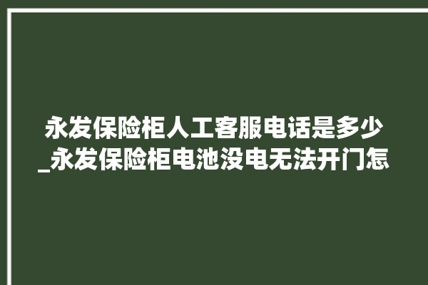 永发保险柜人工客服电话是多少_永发保险柜电池没电无法开门怎么办 。永发