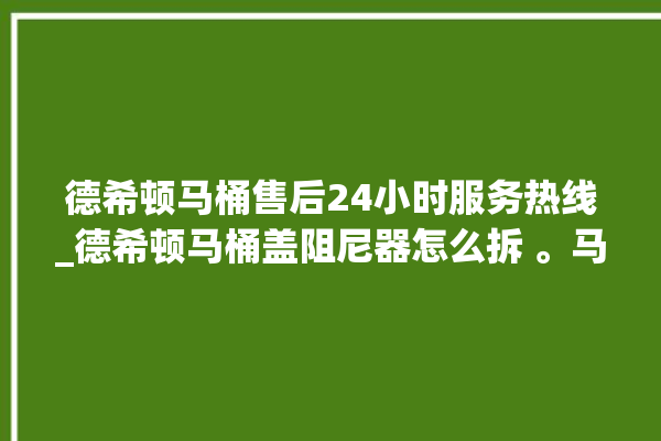 德希顿马桶售后24小时服务热线_德希顿马桶盖阻尼器怎么拆 。马桶盖