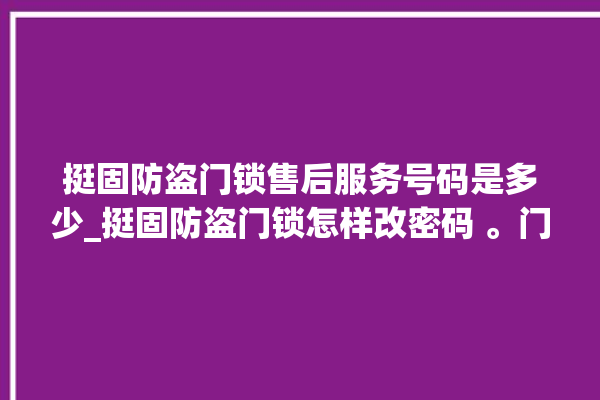 挺固防盗门锁售后服务号码是多少_挺固防盗门锁怎样改密码 。门锁