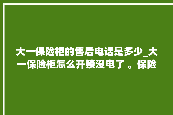 大一保险柜的售后电话是多少_大一保险柜怎么开锁没电了 。保险柜