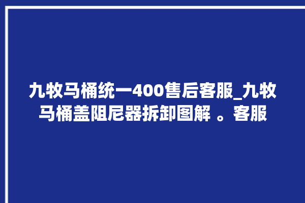 九牧马桶统一400售后客服_九牧马桶盖阻尼器拆卸图解 。客服