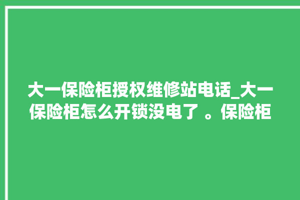 大一保险柜授权维修站电话_大一保险柜怎么开锁没电了 。保险柜