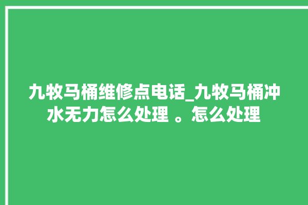 九牧马桶维修点电话_九牧马桶冲水无力怎么处理 。怎么处理