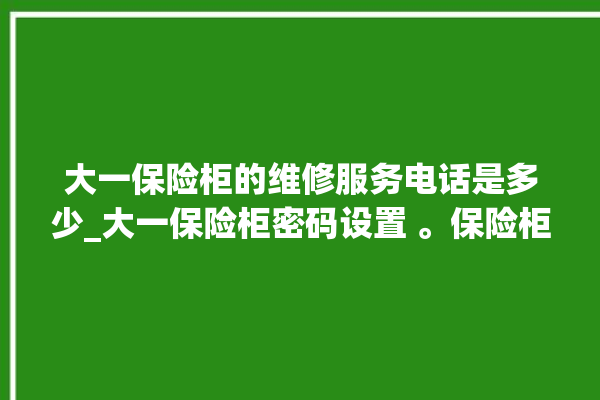 大一保险柜的维修服务电话是多少_大一保险柜密码设置 。保险柜