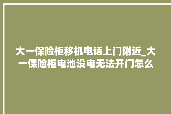 大一保险柜移机电话上门附近_大一保险柜电池没电无法开门怎么办 。保险柜