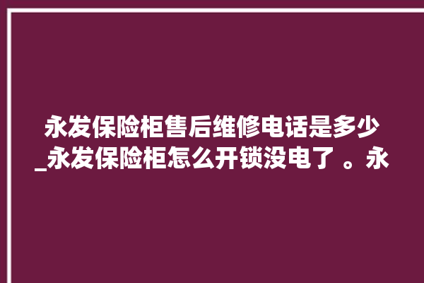 永发保险柜售后维修电话是多少_永发保险柜怎么开锁没电了 。永发