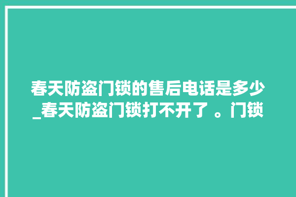 春天防盗门锁的售后电话是多少_春天防盗门锁打不开了 。门锁