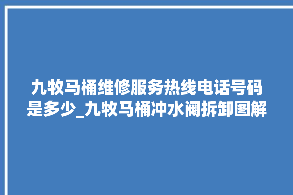 九牧马桶维修服务热线电话号码是多少_九牧马桶冲水阀拆卸图解 。维修服务