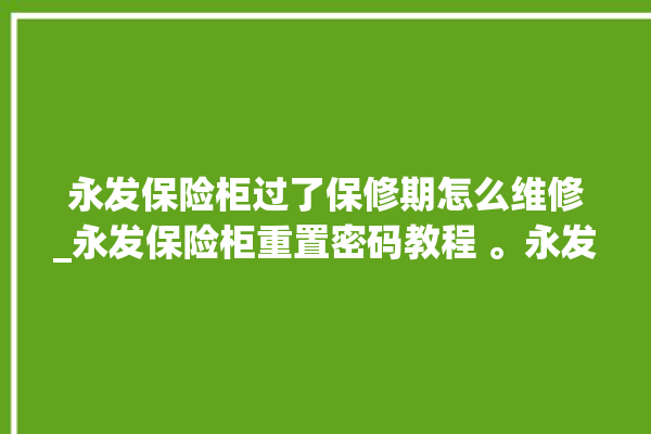 永发保险柜过了保修期怎么维修_永发保险柜重置密码教程 。永发