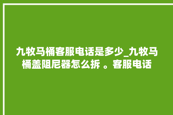 九牧马桶客服电话是多少_九牧马桶盖阻尼器怎么拆 。客服电话