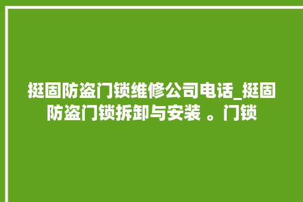 挺固防盗门锁维修公司电话_挺固防盗门锁拆卸与安装 。门锁