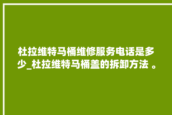 杜拉维特马桶维修服务电话是多少_杜拉维特马桶盖的拆卸方法 。维特