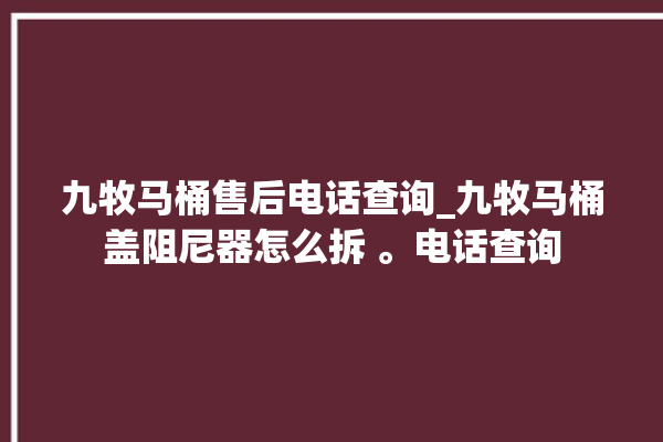 九牧马桶售后电话查询_九牧马桶盖阻尼器怎么拆 。电话查询