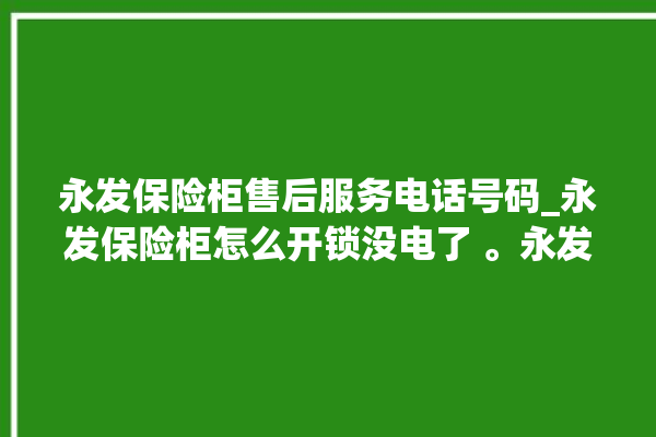 永发保险柜售后服务电话号码_永发保险柜怎么开锁没电了 。永发