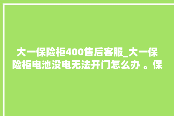 大一保险柜400售后客服_大一保险柜电池没电无法开门怎么办 。保险柜