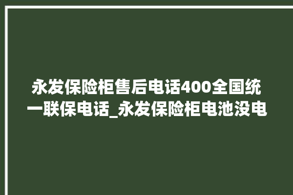 永发保险柜售后电话400全国统一联保电话_永发保险柜电池没电无法开门怎么办 。永发