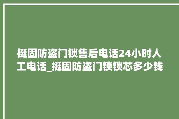 挺固防盗门锁售后电话24小时人工电话_挺固防盗门锁锁芯多少钱 。门锁