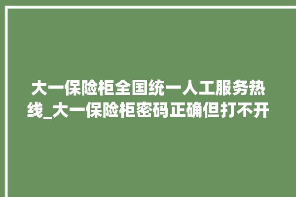 大一保险柜全国统一人工服务热线_大一保险柜密码正确但打不开 。保险柜