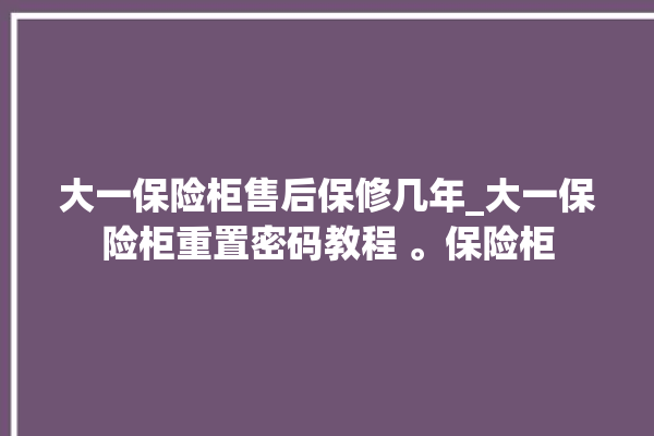 大一保险柜售后保修几年_大一保险柜重置密码教程 。保险柜