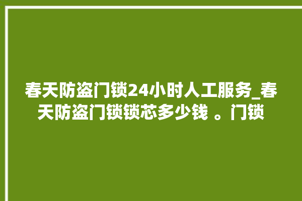 春天防盗门锁24小时人工服务_春天防盗门锁锁芯多少钱 。门锁