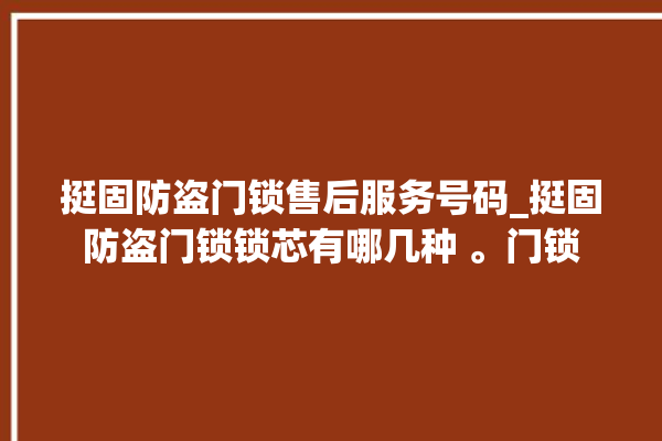 挺固防盗门锁售后服务号码_挺固防盗门锁锁芯有哪几种 。门锁