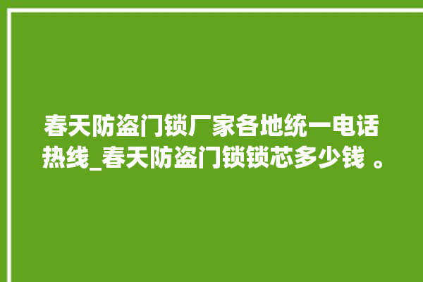 春天防盗门锁厂家各地统一电话热线_春天防盗门锁锁芯多少钱 。门锁