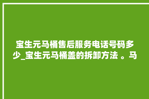 宝生元马桶售后服务电话号码多少_宝生元马桶盖的拆卸方法 。马桶盖