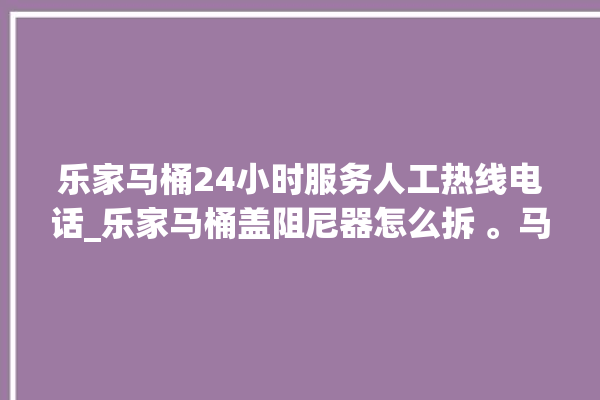 乐家马桶24小时服务人工热线电话_乐家马桶盖阻尼器怎么拆 。马桶盖