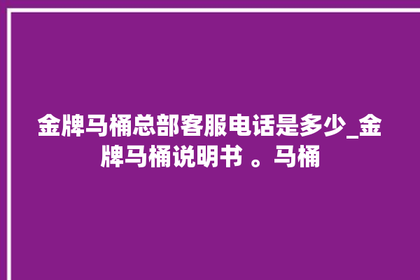 金牌马桶总部客服电话是多少_金牌马桶说明书 。马桶